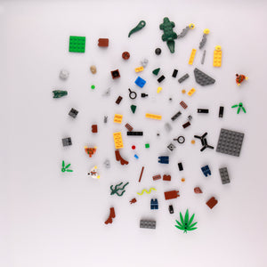 Jungle Starter Set