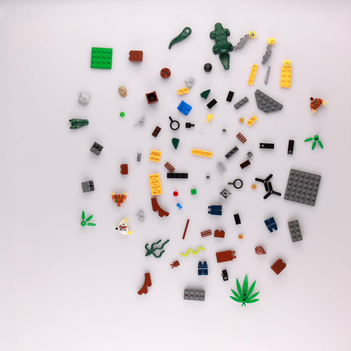 Jungle Starter Set