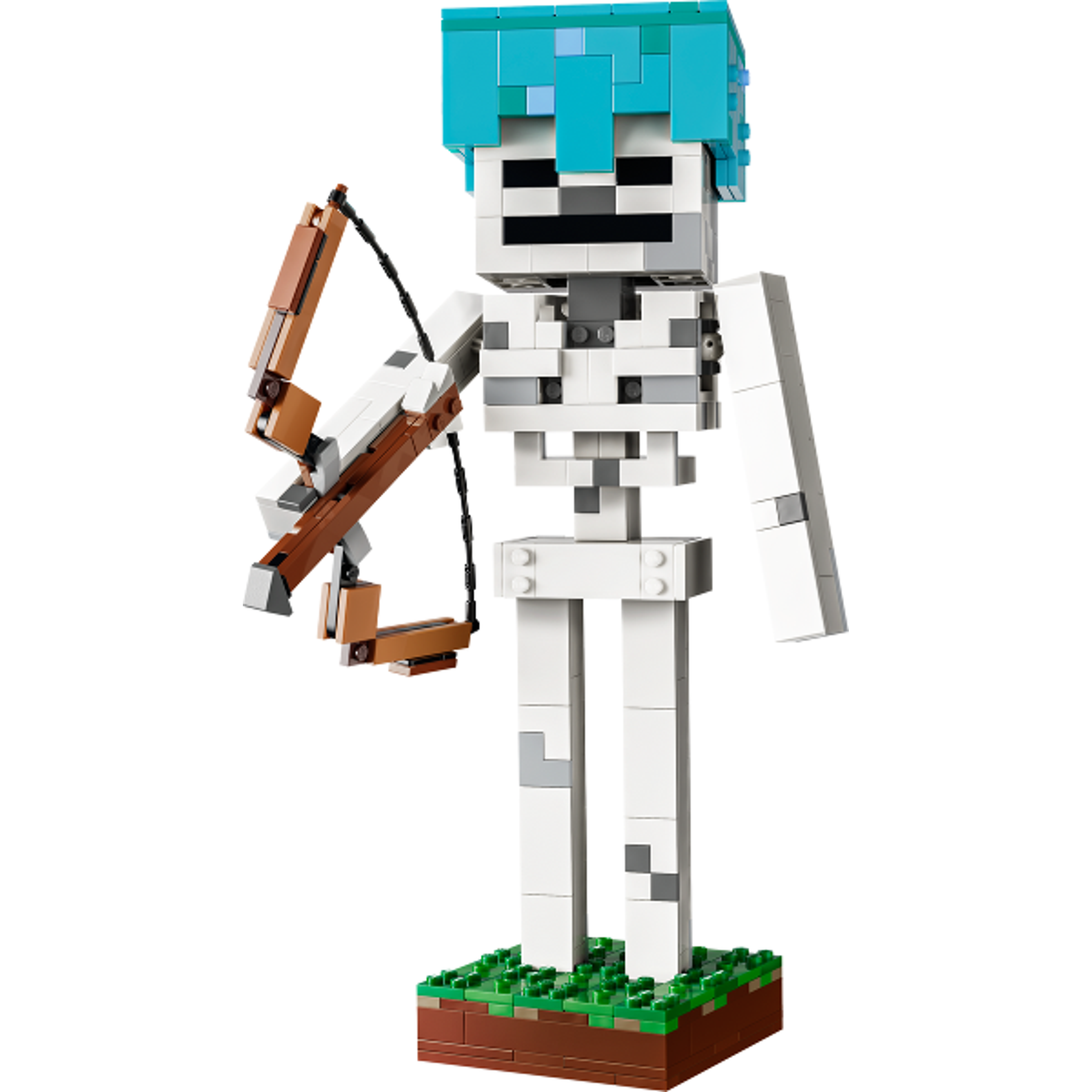 The Skeleton