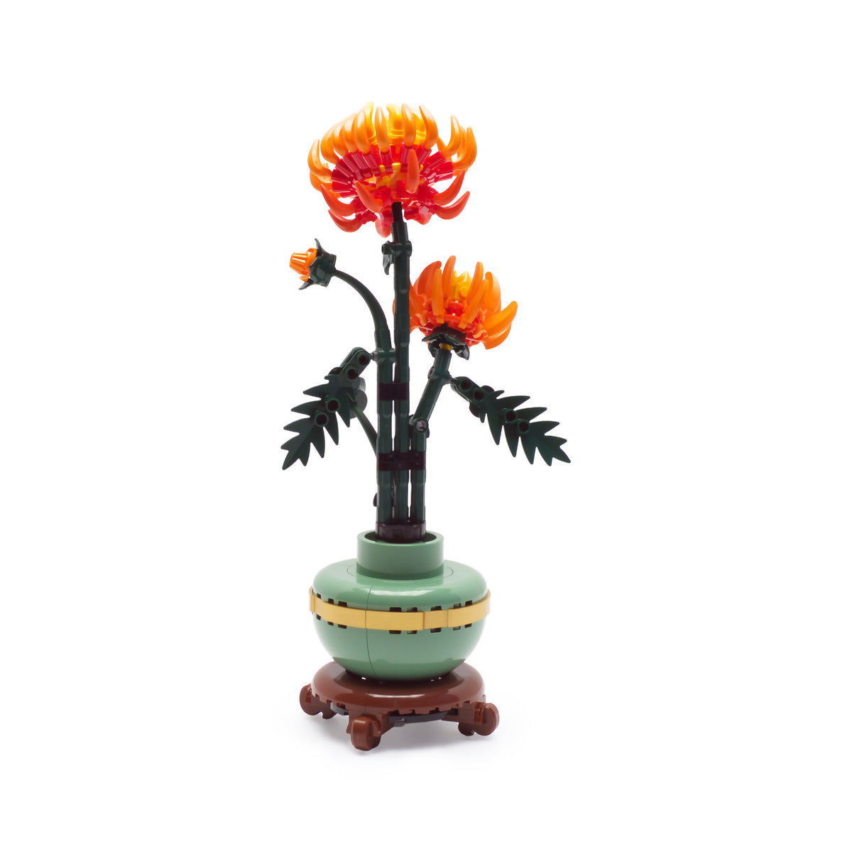 Chrysanthemum