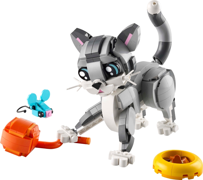 Playful Cat