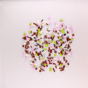 Cherry Blossoms