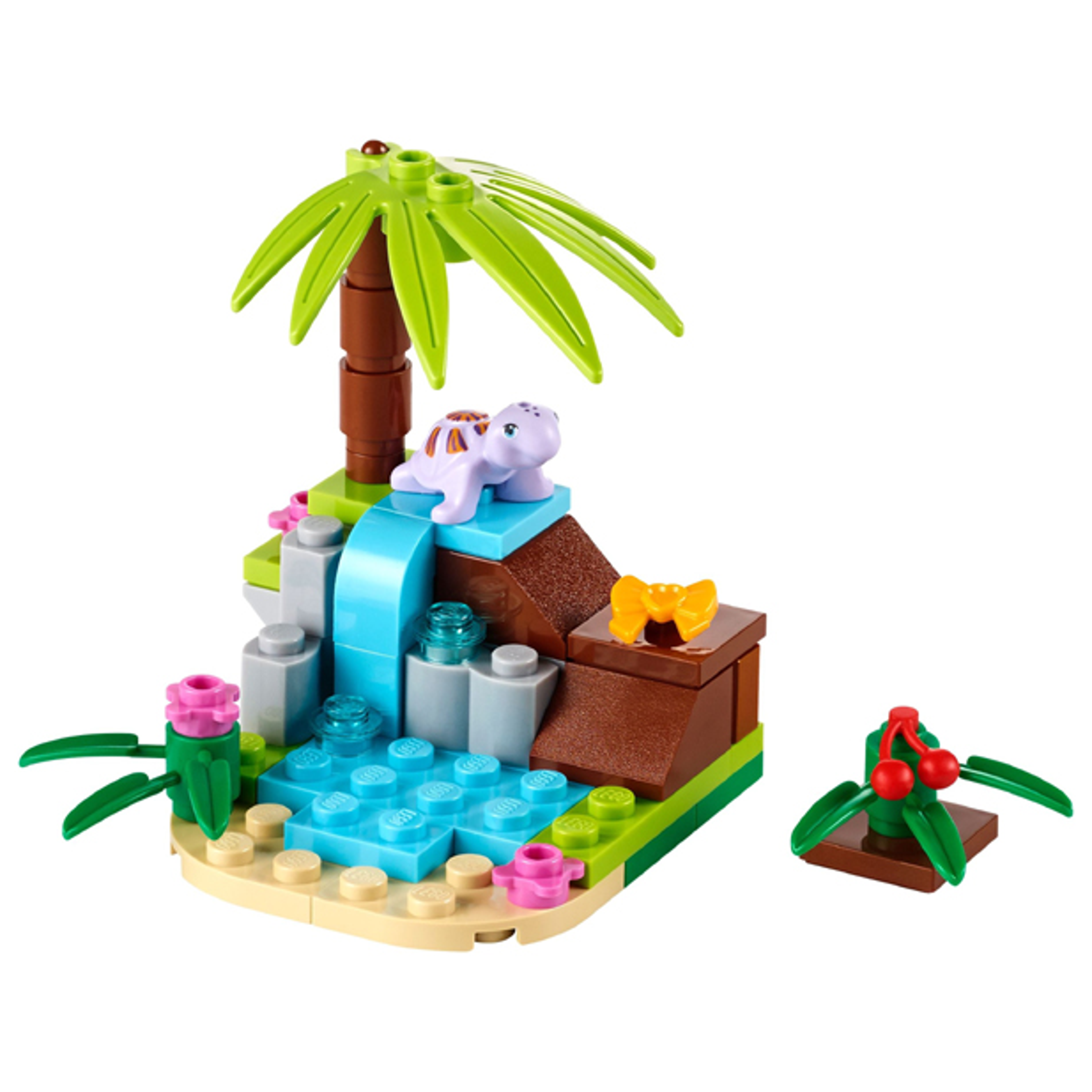 Turtle's Little Paradise
