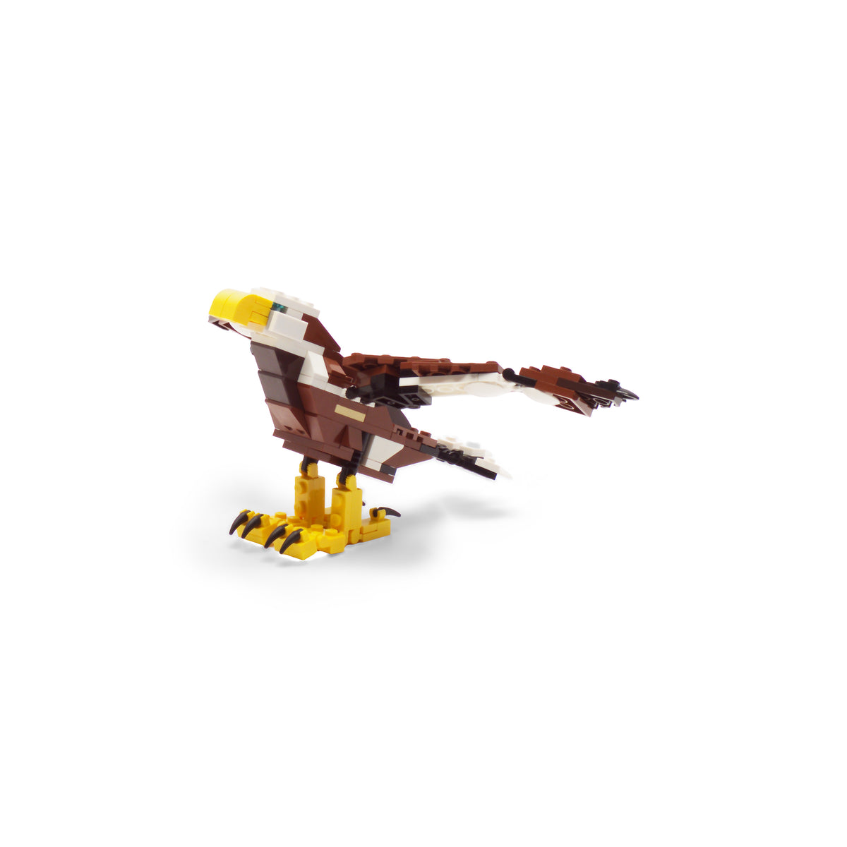Fierce Flyer