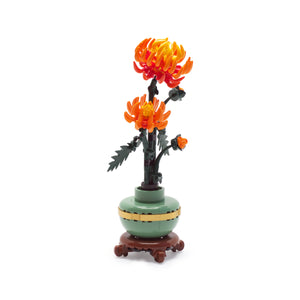Chrysanthemum