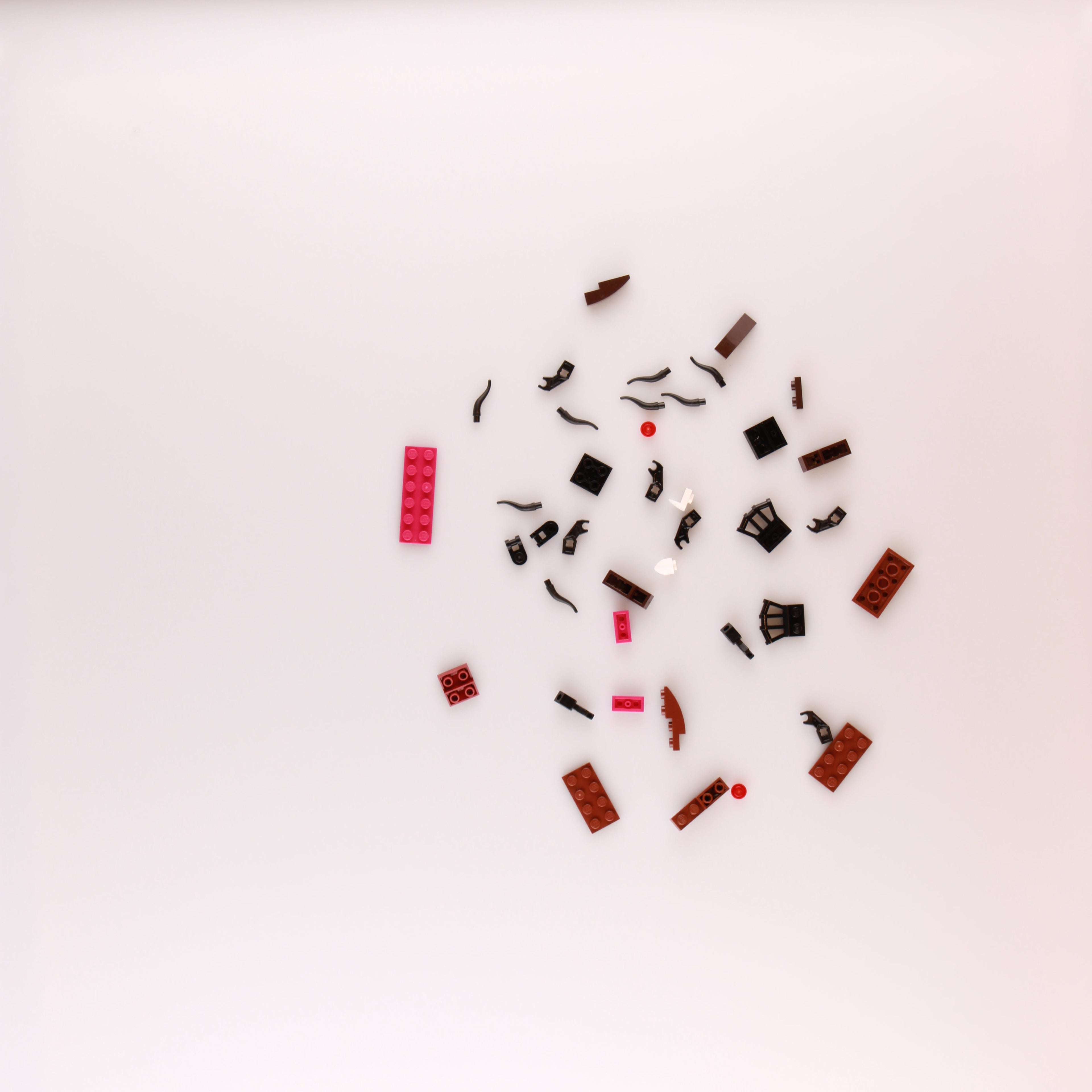Spider polybag
