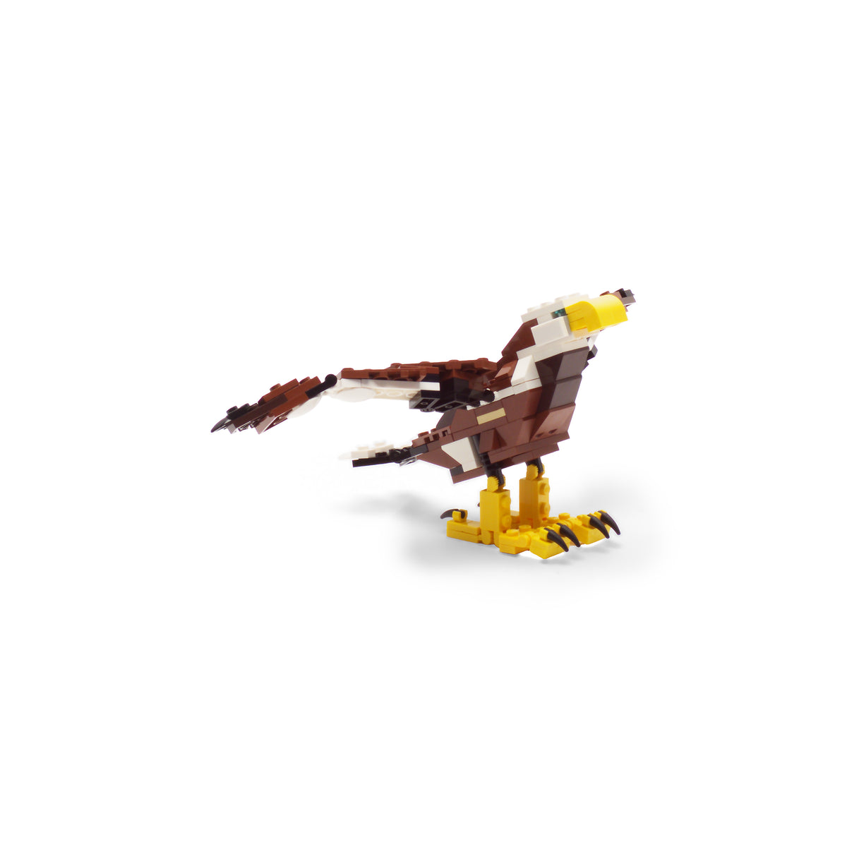 Fierce Flyer