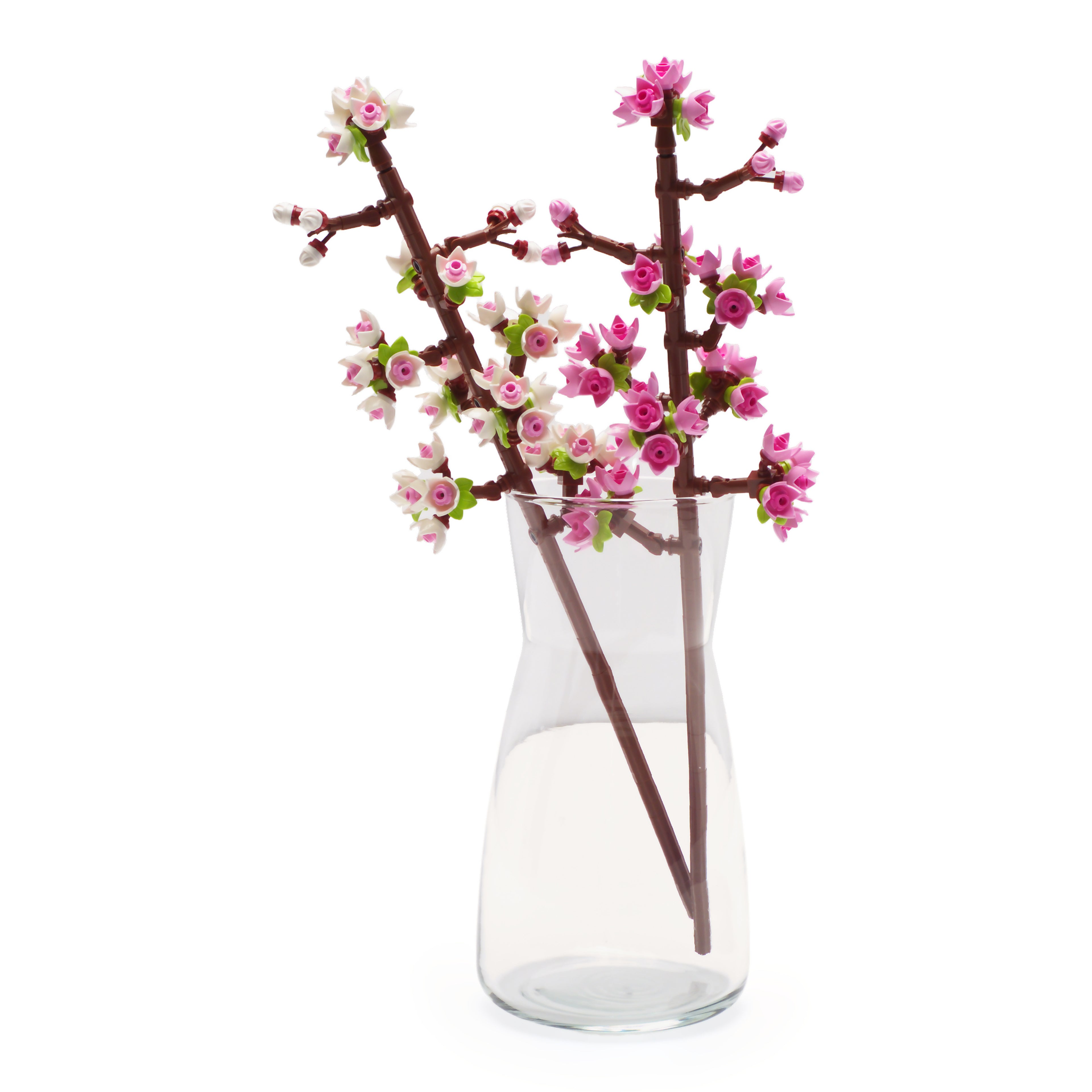 Cherry Blossoms