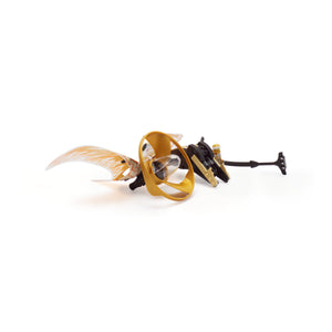Golden Dragon Master
