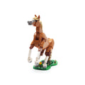 Beautiful Horse