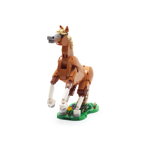 Beautiful Horse