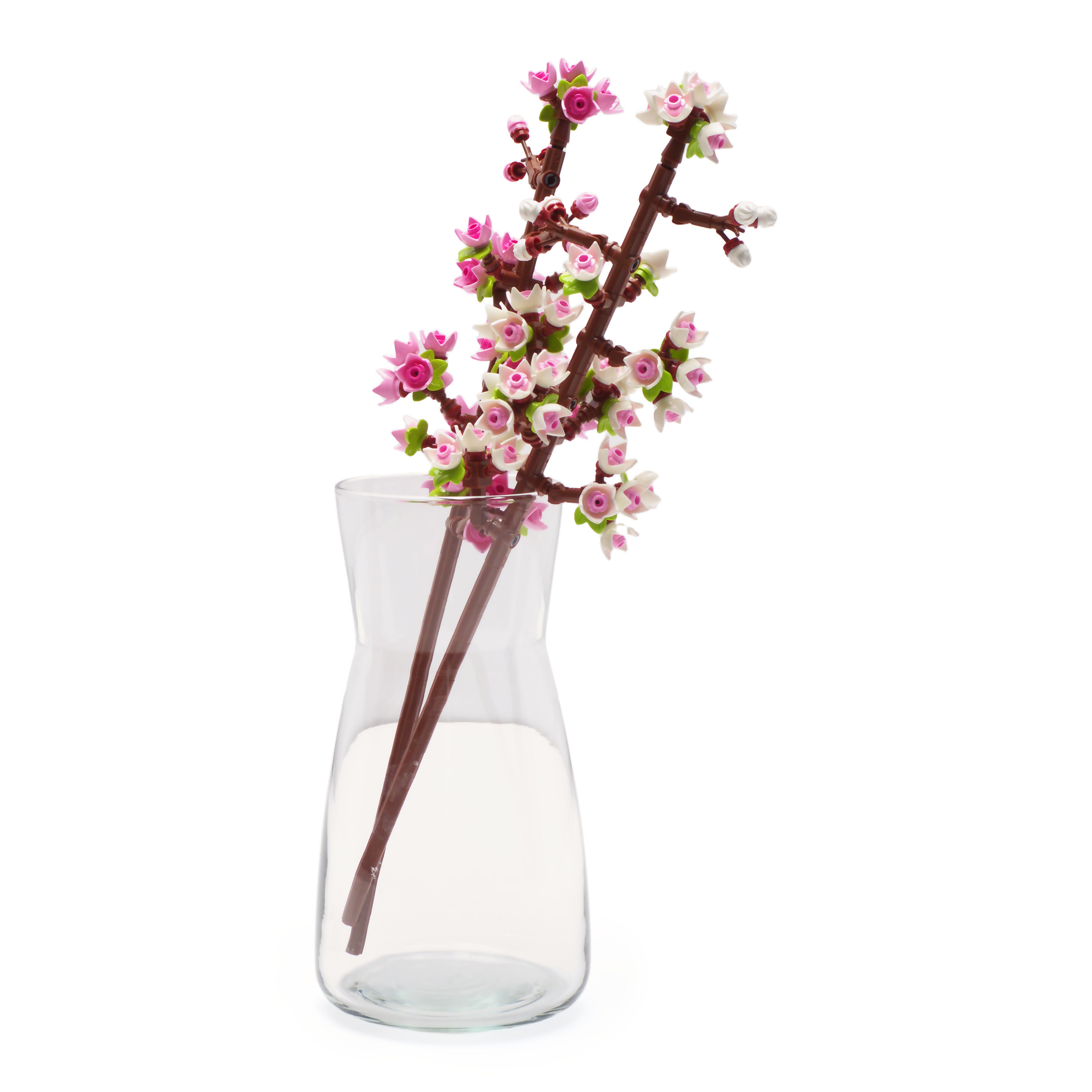 Cherry Blossoms