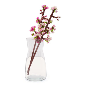 Cherry Blossoms