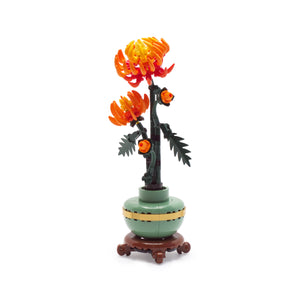 Chrysanthemum