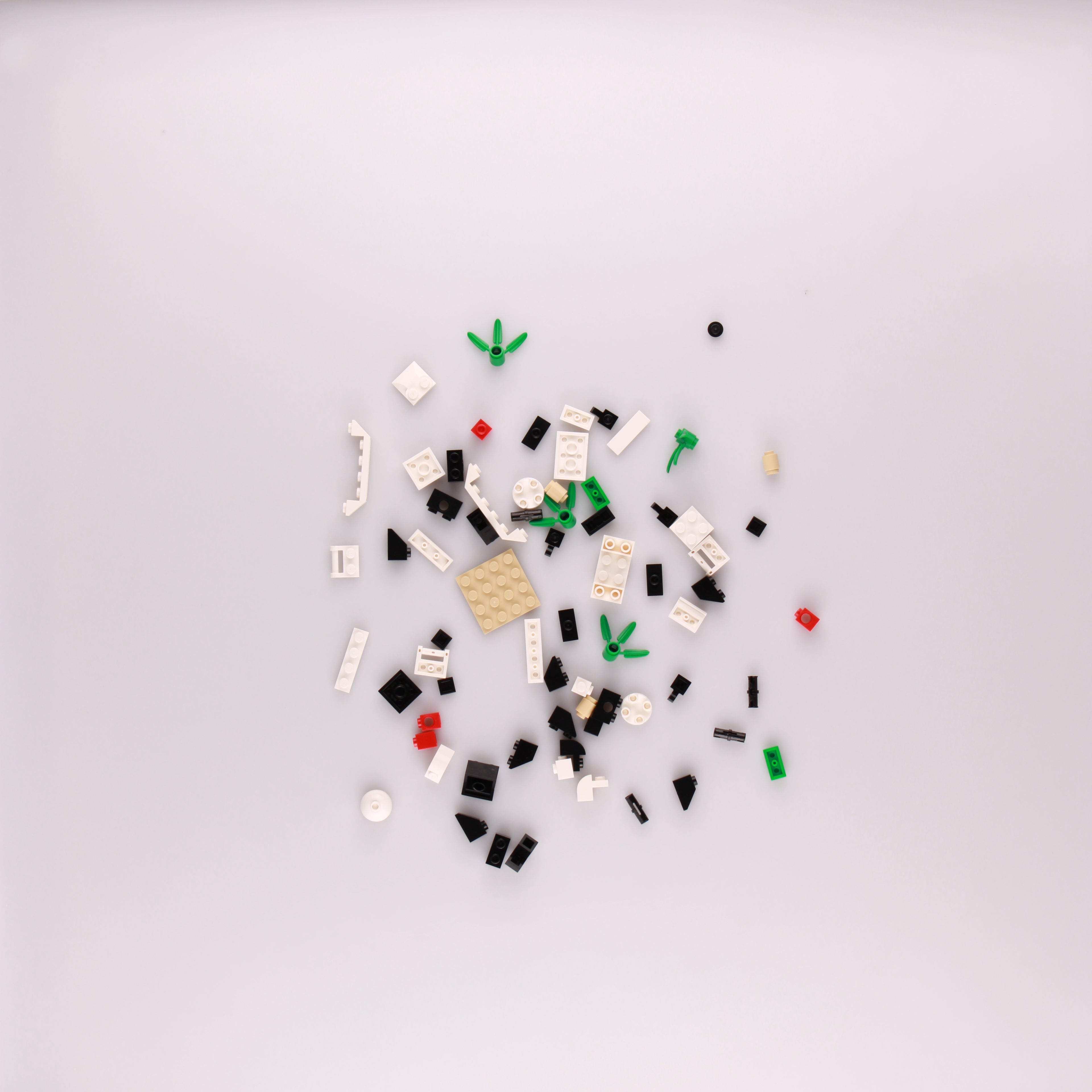 Panda polybag