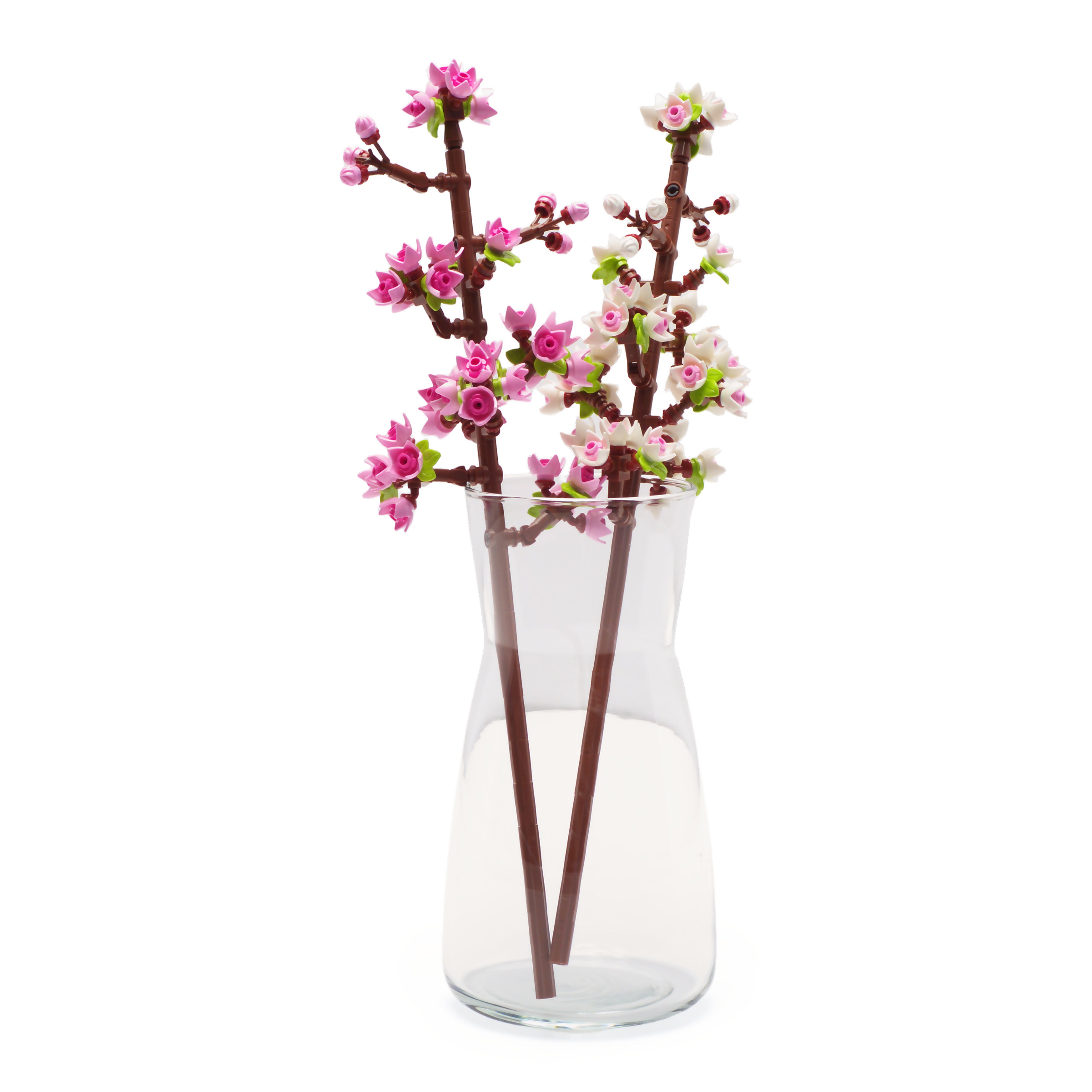 Cherry Blossoms