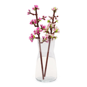 Cherry Blossoms