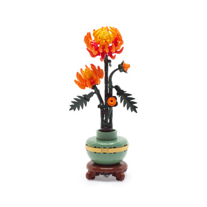 Chrysanthemum