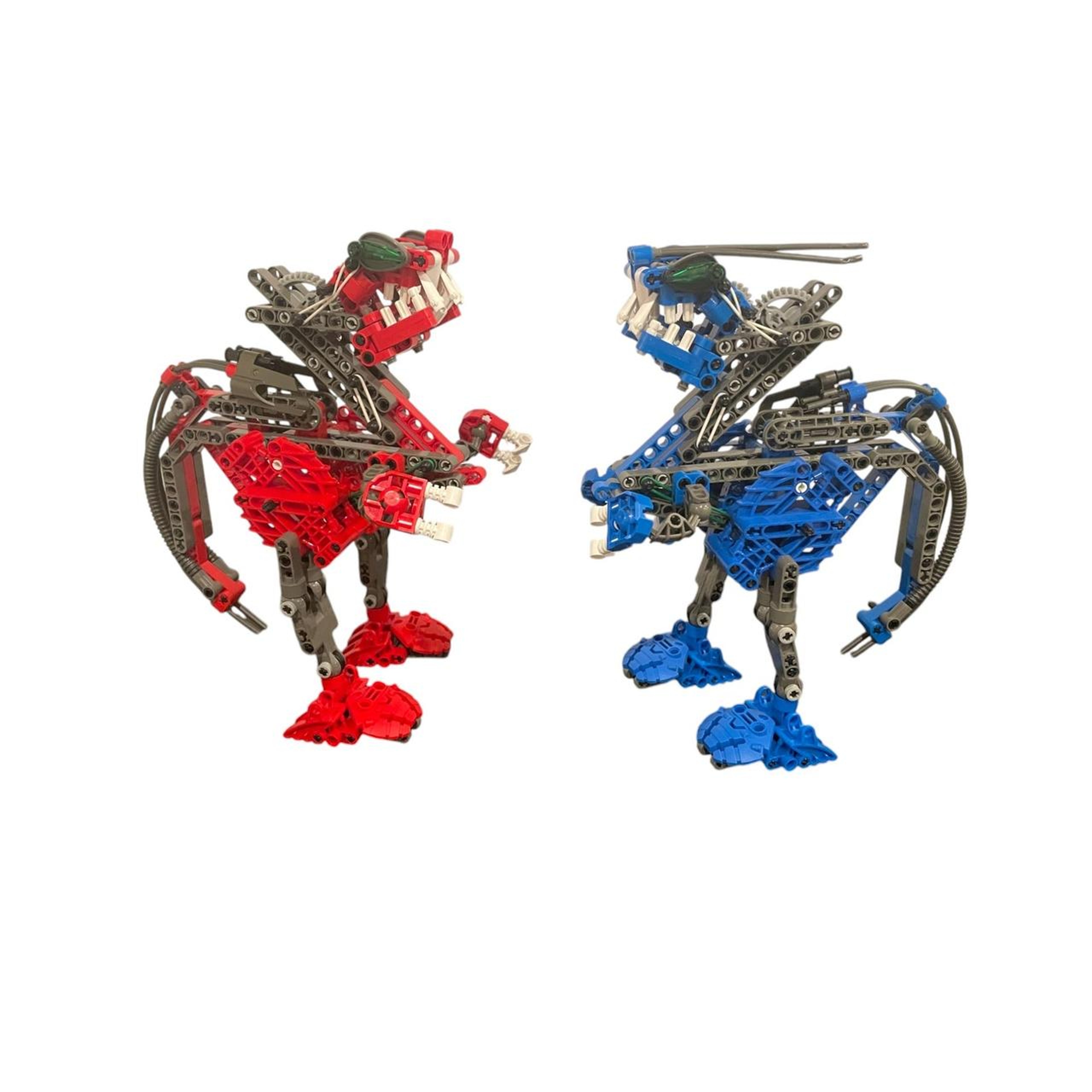 Cahdok & Gahdok